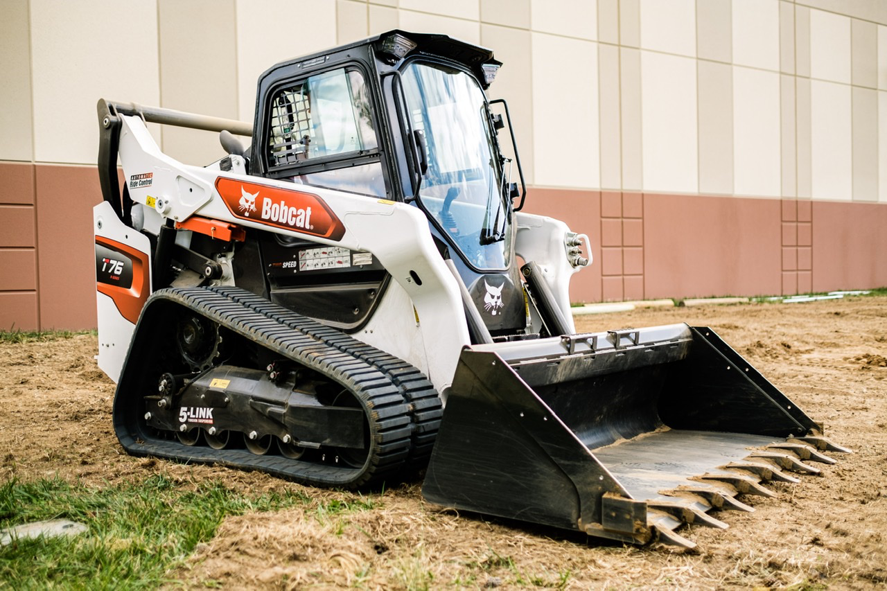 Bobcat